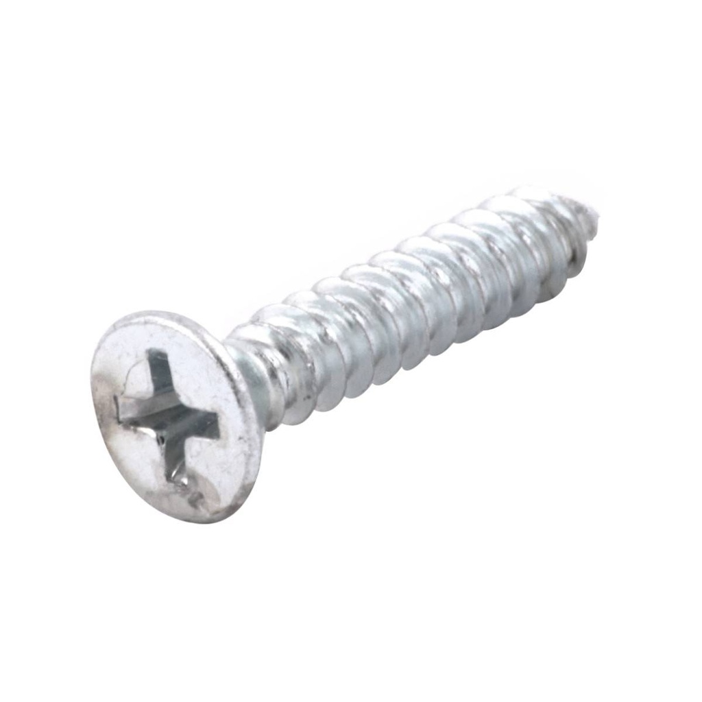 PIJA CABEZA PLANA PHILLIPS GALVANIZADA PUNTA TIPO AB#10 x 3" (Precio x Caja a Granel c/2000piezas)