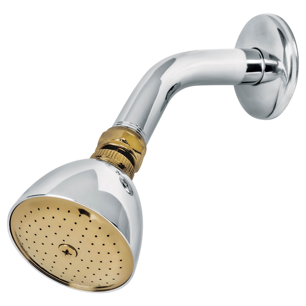 Regadera conica 2-1/2' cromo-oro brazo y chapeton acero