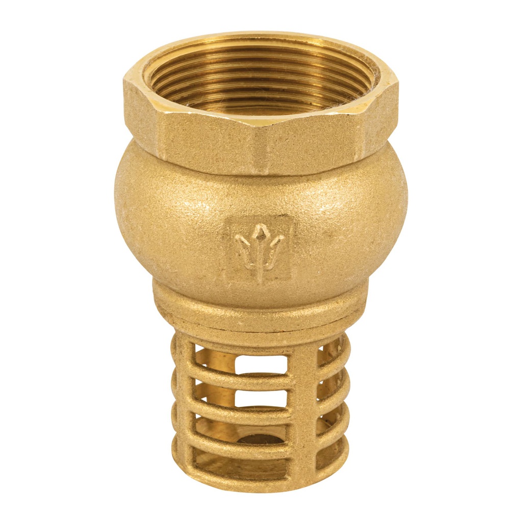 Pichancha con rejilla de laton 1-1/2', Foset