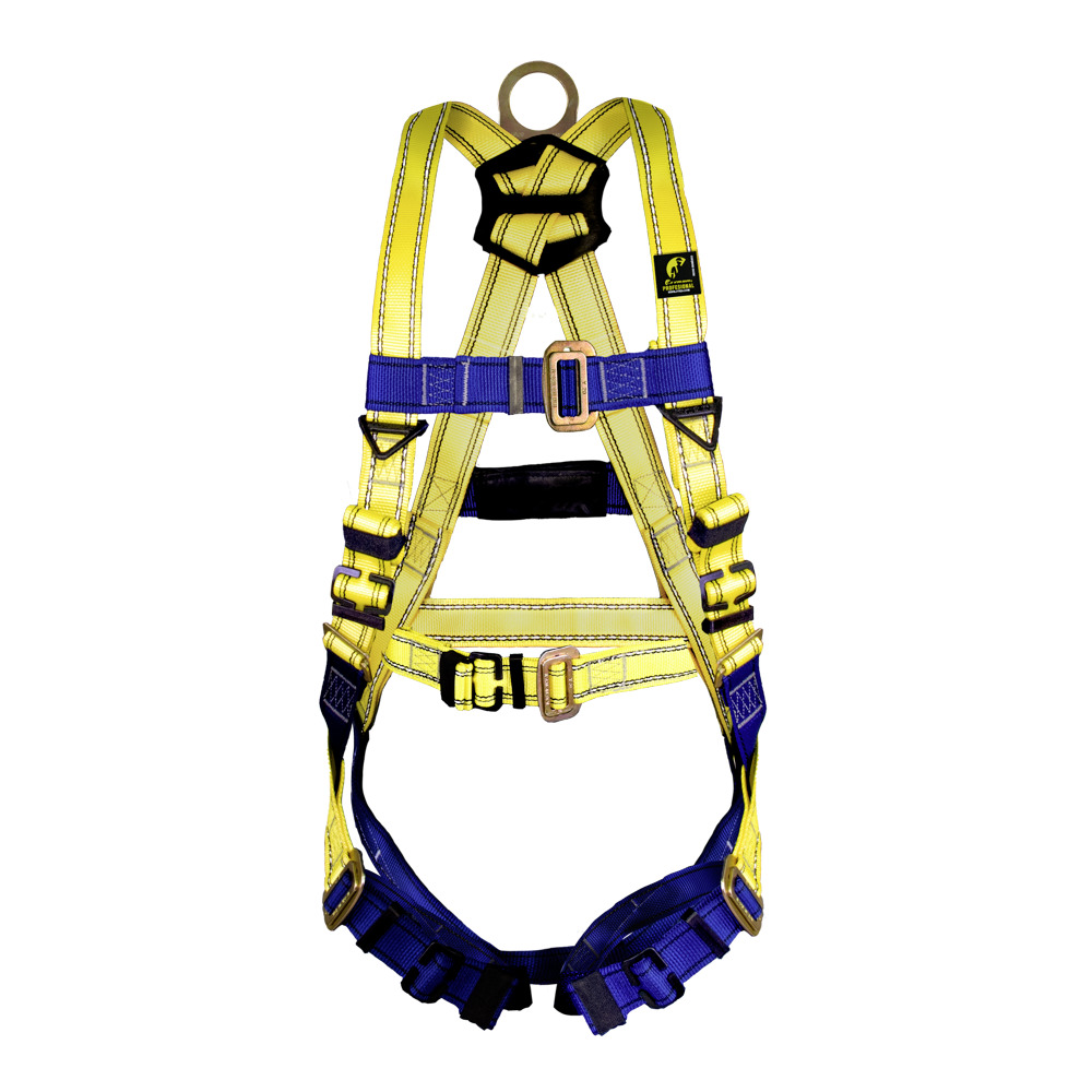 ARNES CON ANILLO D Y CINTURON ADICIONAL.