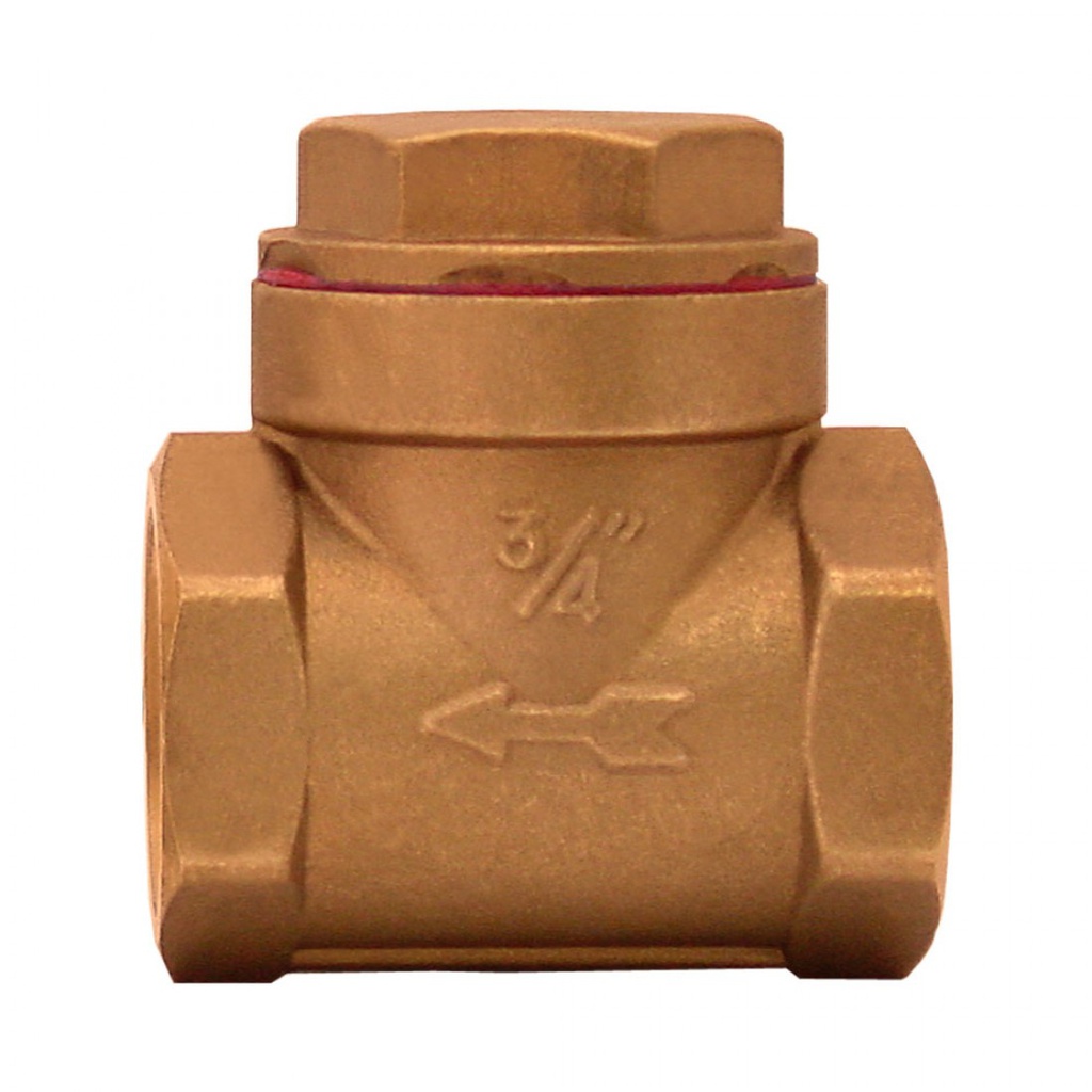 25MM.VALVULA CHECK HORIZONTAL ROSCAR