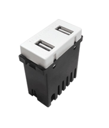 ROYER  100 TOMA 2usb 2A 1mod.BLANCA