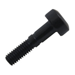 TORNILLO P/PORTAHERRAMIENTA DLS4