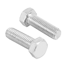 [44669] Bolsa con 10 tornillos 5/8' x 2' tipo maquina, Fiero
